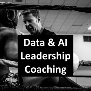 Data & AI Leadership Coaching: Consultation Session