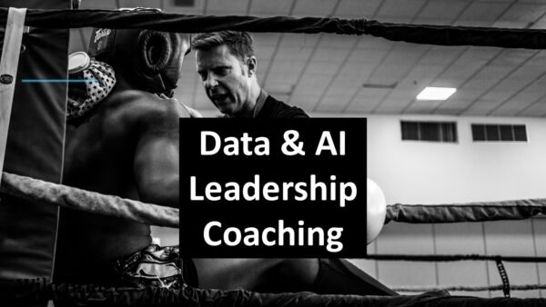 Data & AI Leadership Coaching: Consultation Session