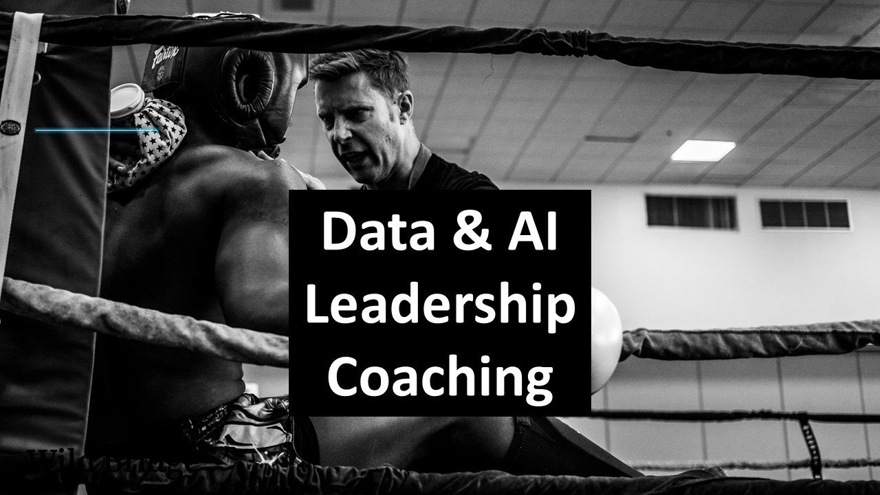 Data & AI Leadership Coaching: Consultation Session